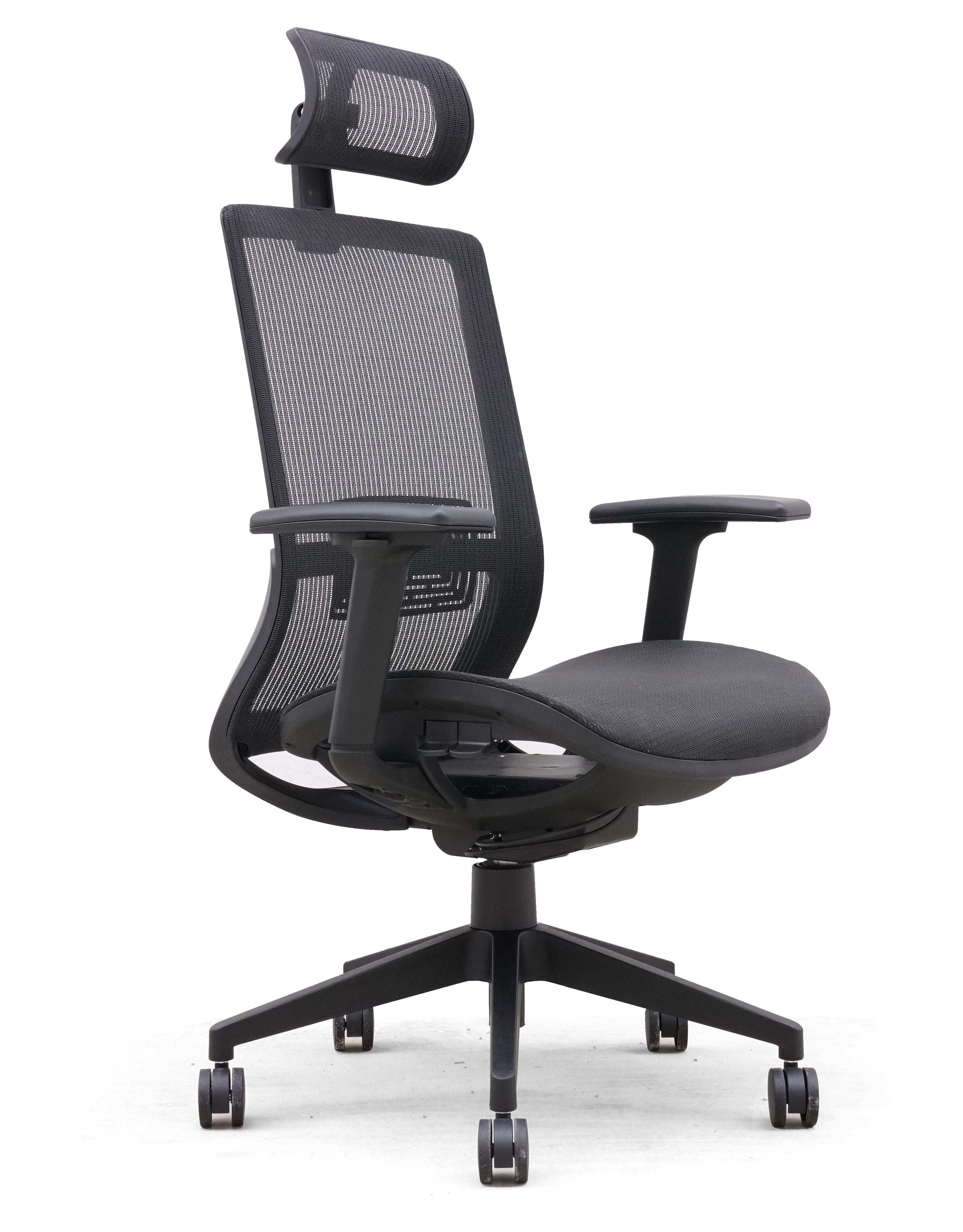 Ergonomic Mesh Office Chair with Synchro-Tilt, Pivot Adjustable Headrest, Black