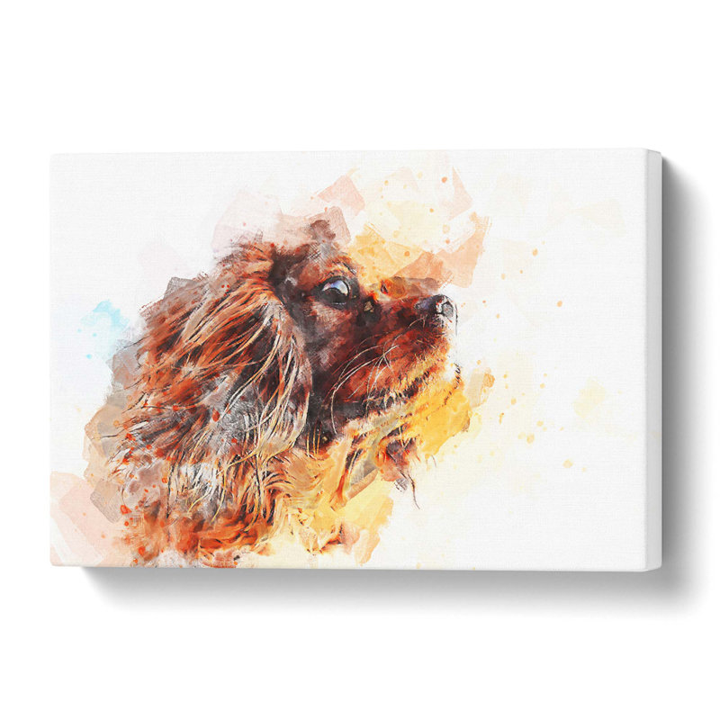 King Charles Spaniel - Wrapped Canvas, 35.6 cm H x 50.8 cm W