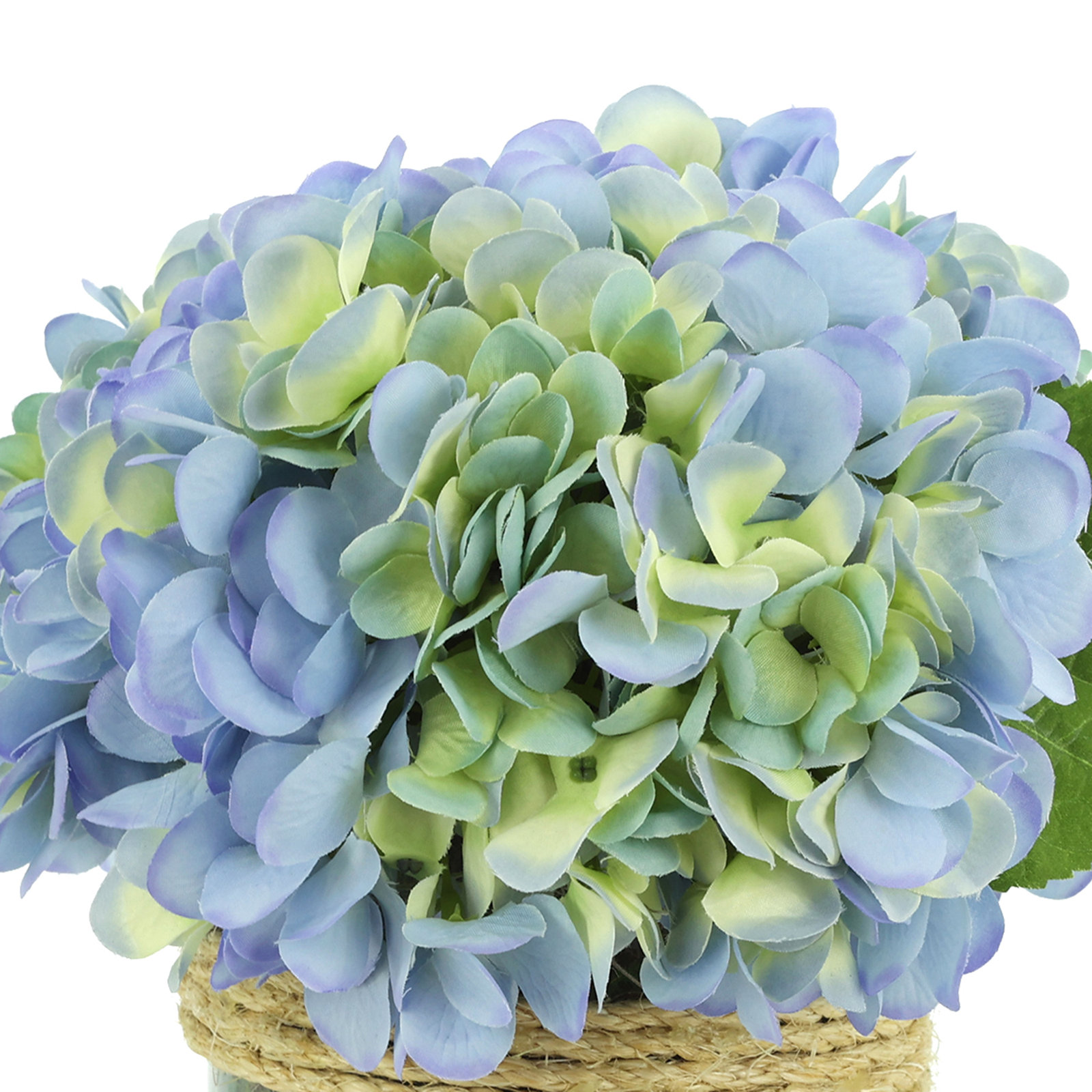 Hydrangea in Glass vase with Moss, Light Blue/Yellow