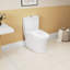 Toilette allongée une pièce à hauteur confort 1,1 / 1,6 GPF