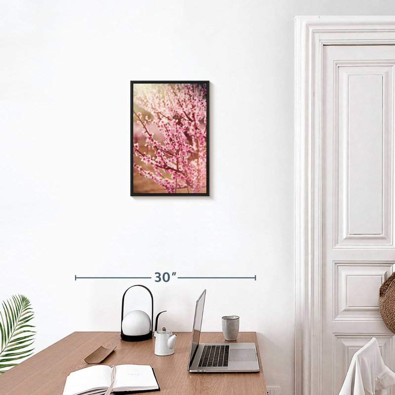 Sakura rose ensoleillé, 13 po x 19 po, Cadre flottant noir