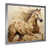 Silver Picture Framed