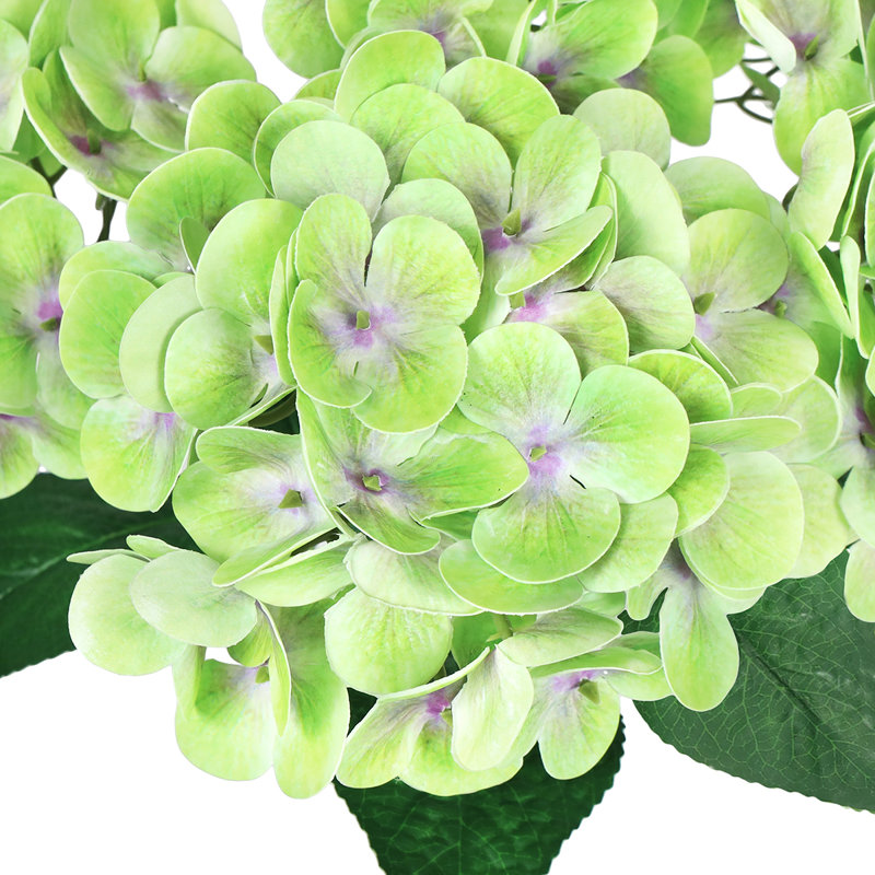 Buisson d'hortensias Real Touch, Vert clair