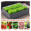 Lit de jardin en métal 4X3x1