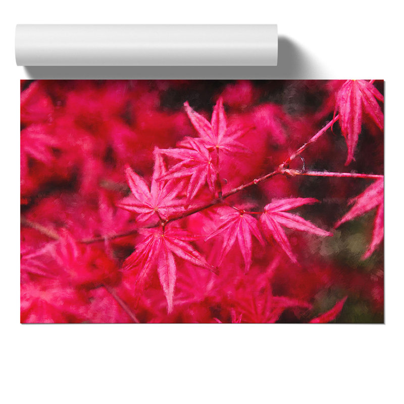 Japanese Maple Tree - No Frame Print, 42cm H x 59cm W x 0.1cm D