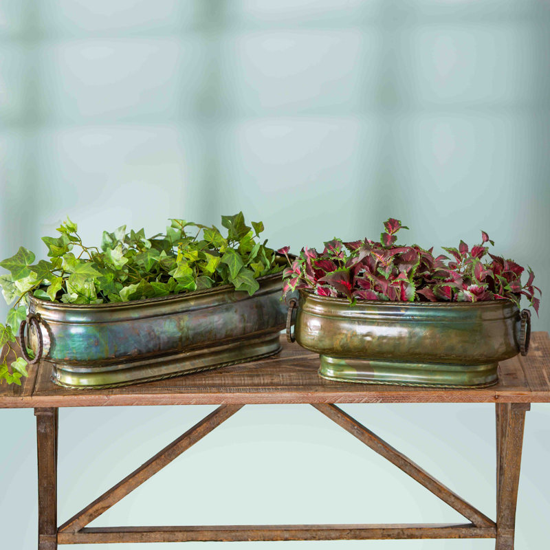 Ensemble de pots à fleurs d'intérieur / extérieur en métal patiné 2 pièces Alliannah