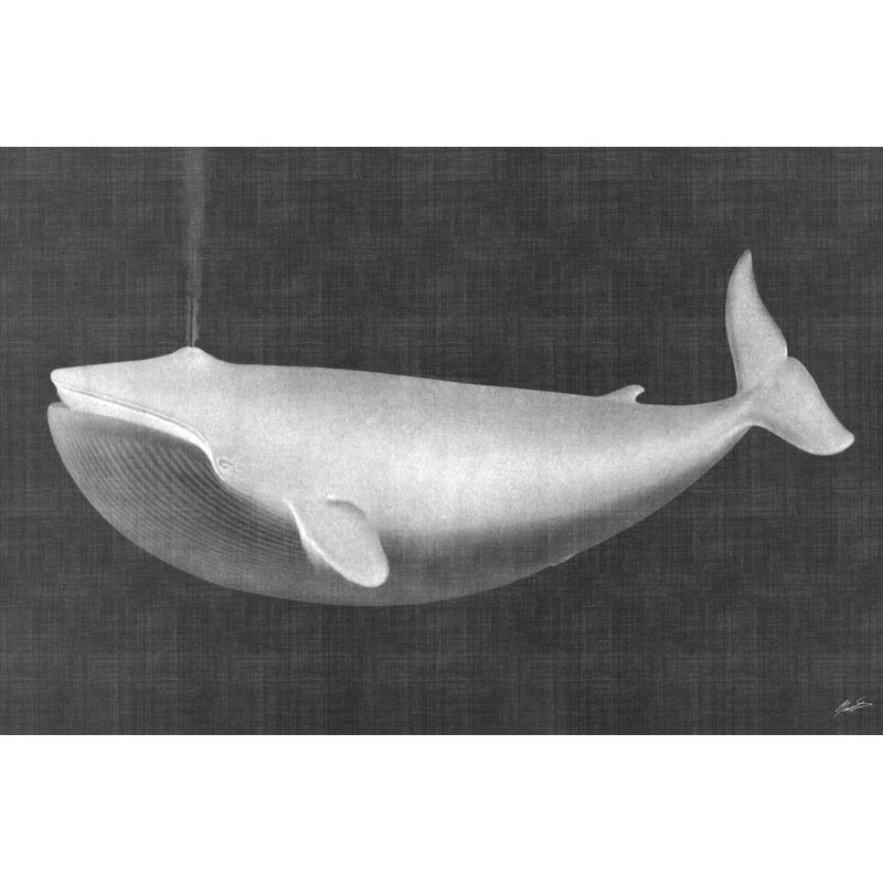 Whale Watching I - Wrapped Canvas Painting, 30cm H x 46cm W x 3.8cm D
