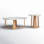 Baudelaire 2 - Piece Marble Top Living Room Table Set