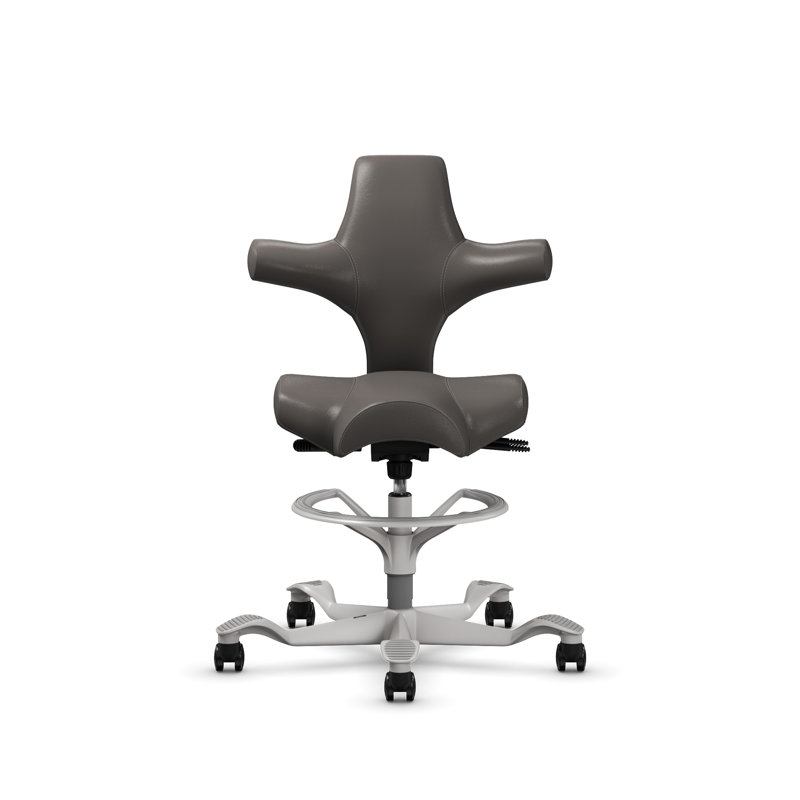  Fauteuil assis-debout avec repose-pieds HœG Capisco, Argent argent, Bois de frêne gris