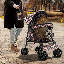 Poussette pour chien avec poussette réglable
