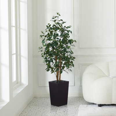 Adcock UV Protected Artificial Ficus Tree with Decorative Base, Faux Ficus Plant with Natural Trunk