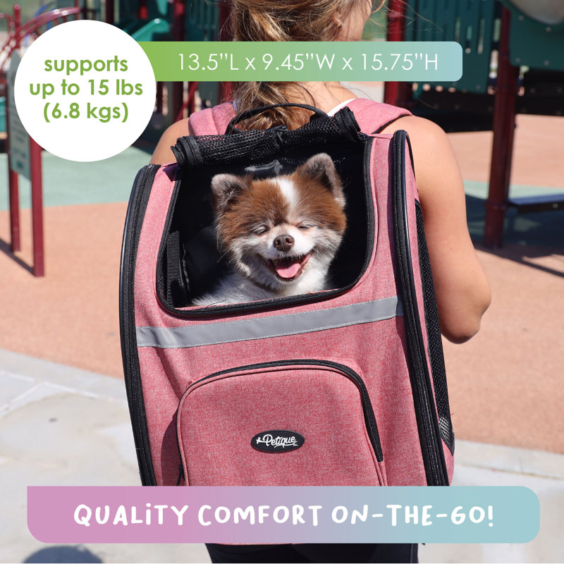 Petique The Backpacker Pet Carrier 