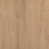 Dry Wash Poplar selected