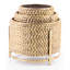 Maida Metal Pot Planter
