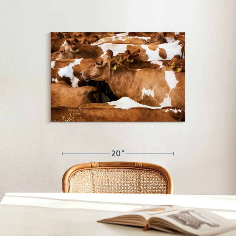 Brampt Guernsey Cows, 16" H x 24" W