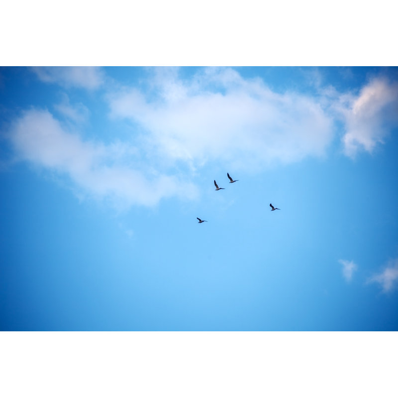 Ciel - photographie sur toile tendue, L 12 po x H 8 po