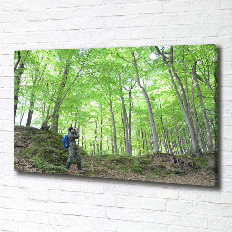 Ornithologist In The Forest - Wrapped Canvas Print