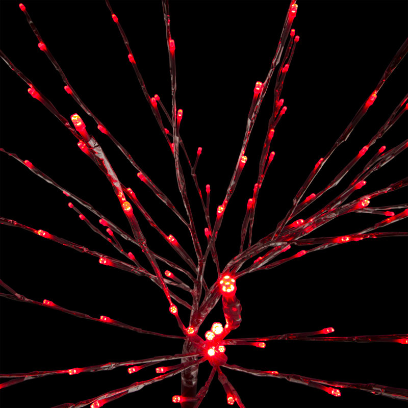 Arbres et branches alpins éclairés, Rouge