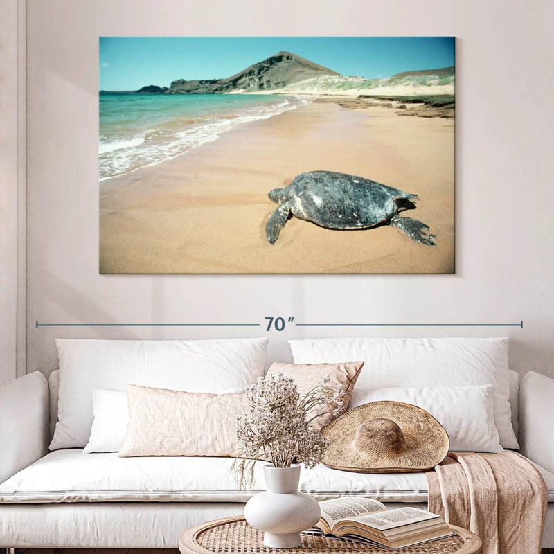 Brampt Galapagos Loggerhead Turtle, 34" H x 51" W