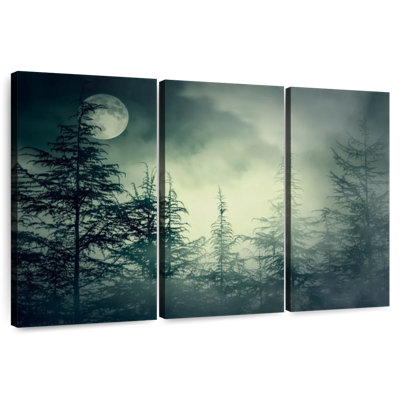 Gloomy Dark Forest