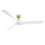  Ventilateur de plafond intelligent pour l'intérieur et l'extérieur Wrap Custom avec télécommande - (moteur seulement)-104946319