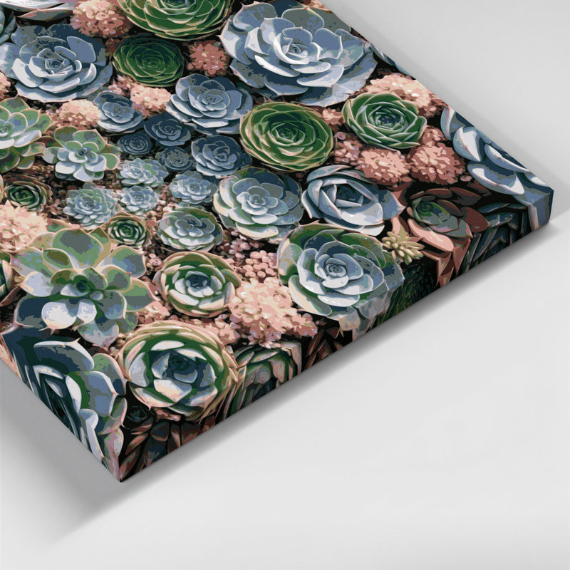 "Botanical Succulents", art mural sur toile grise, H 11 po x l 14 po