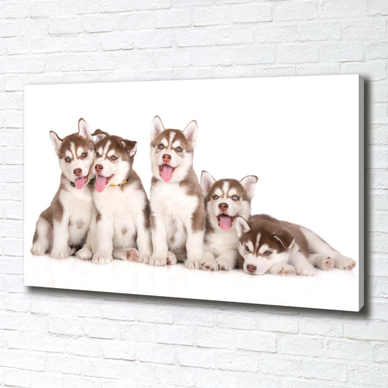 Husky Puppies - Wrapped Canvas Print