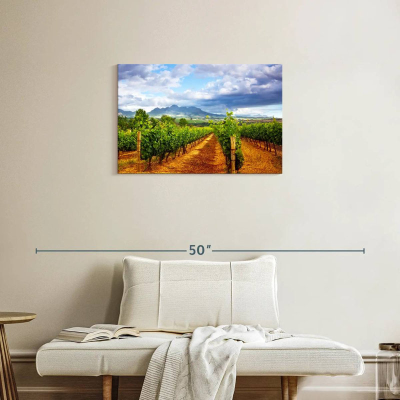 Vignoble pittoresque d'Alvord, H 20 po x l 30 po