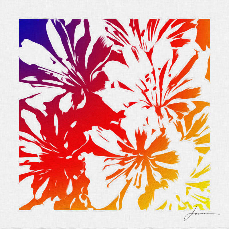 Floral Brights I by James Burghardt - Wrapped Canvas Painting, 76cm H x 76cm W