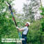 6 Inch Brushless Cordless Pole Chainsaw 2 Batteries Set, Adjustable Extension Pole for Tree Trimming, Compatible with Makita Battery