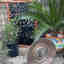 Photos des clients 1 de 1