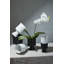 Pot à fleurs en céramique Waters-1684862429