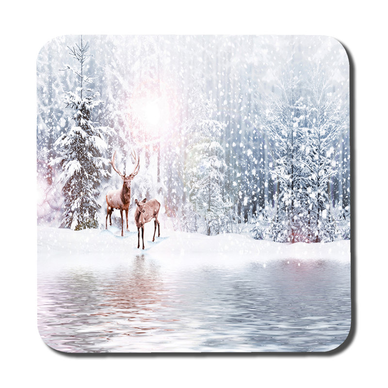 Square 6 Piece Coaster Set