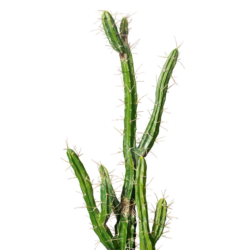 Cactus artificiel vert, pot de fleurs en plastique noir, H 46 po x l 6 po x P 6 po