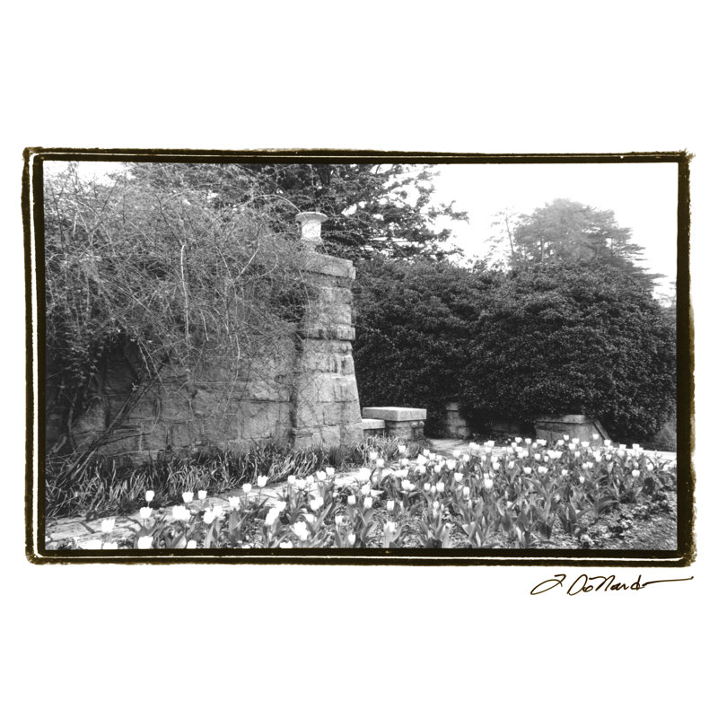 Garden Grace II by Laura DeNardo - Wrapped Canvas Print, 20cm H x 30cm W