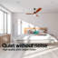 Itohan 60'' Ceiling Fan with Light Kit-818108467