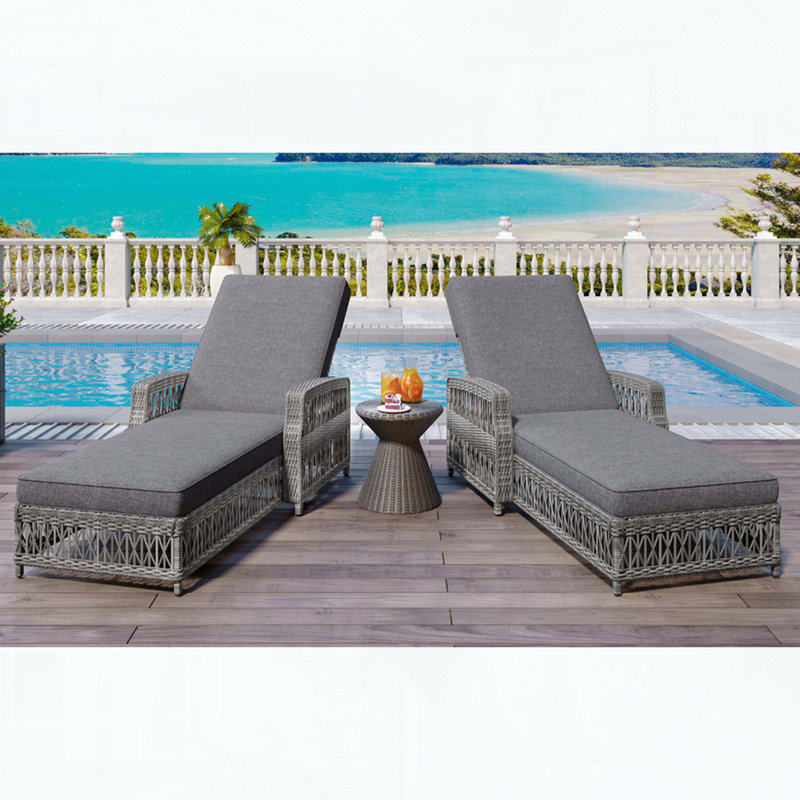 Ensemble de 2 chaises longues réglables en osier avec accoudoirs, Gris