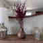 Customer photo 2 of 2