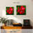 Red Hibiscus Flowers-109221697