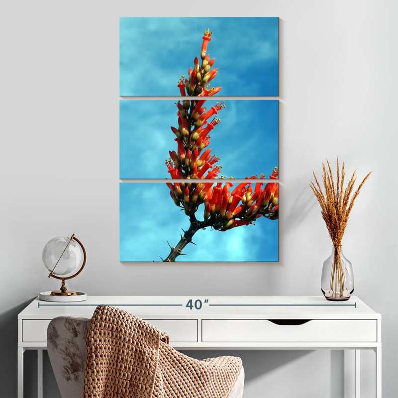 Harnek Flowering Ocotillo