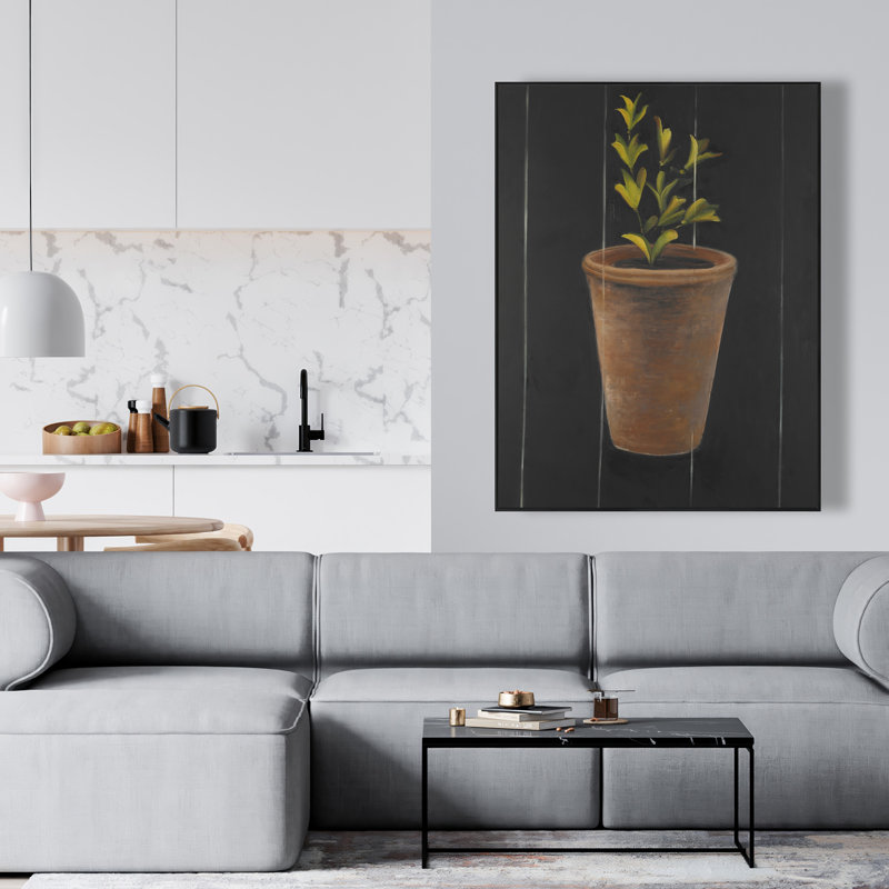 Plante de Marjolaine, H 37,25 po x l 49,25 po