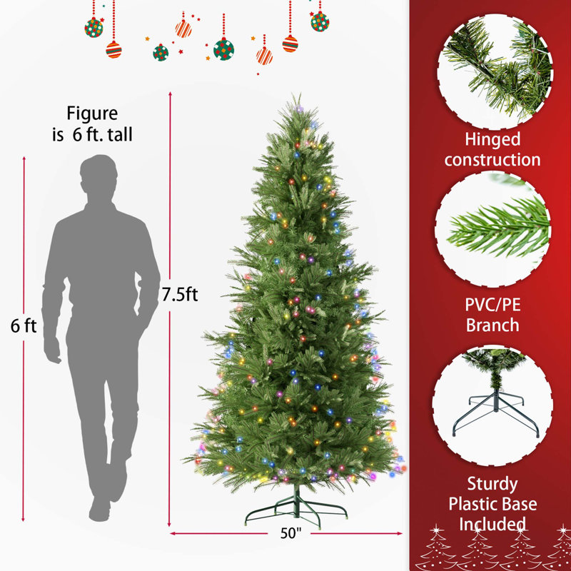 Christmas Trees