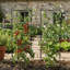 Ensemble de 4 treillis en métal pour jardin H 48 po x l 12,5 po Garden Trellis convenant aux plantes en pot