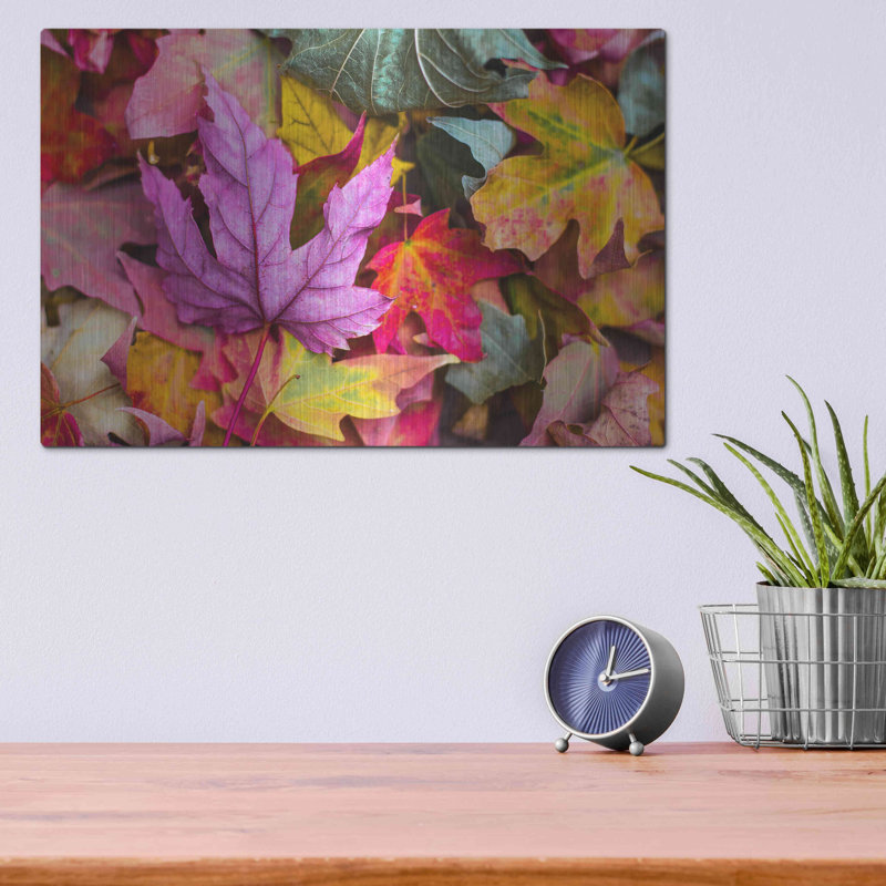 «Beautiful Fall» par Luxe, H 12 po x l 16 po