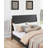 Waterfall Panel Bed-113691929