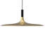 Luminaire suspendu à 1 lumière DEL Jone-1352476408
