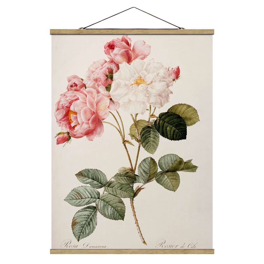 Stoffbild Damask Rose von Pierre-Joseph Redouté