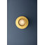 Dighton Flush Mount-109178355