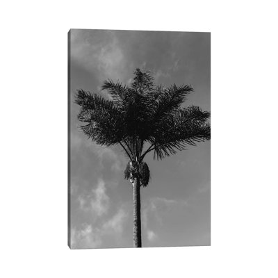 Monochrome Palm Tree by Bethany Young - Print on Canvas