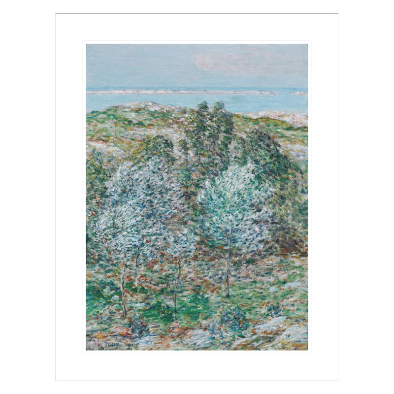 «Springtime Vision» par Childe Hassam, impression giclée sur cadre, H 29,5 po x l 23,14 po